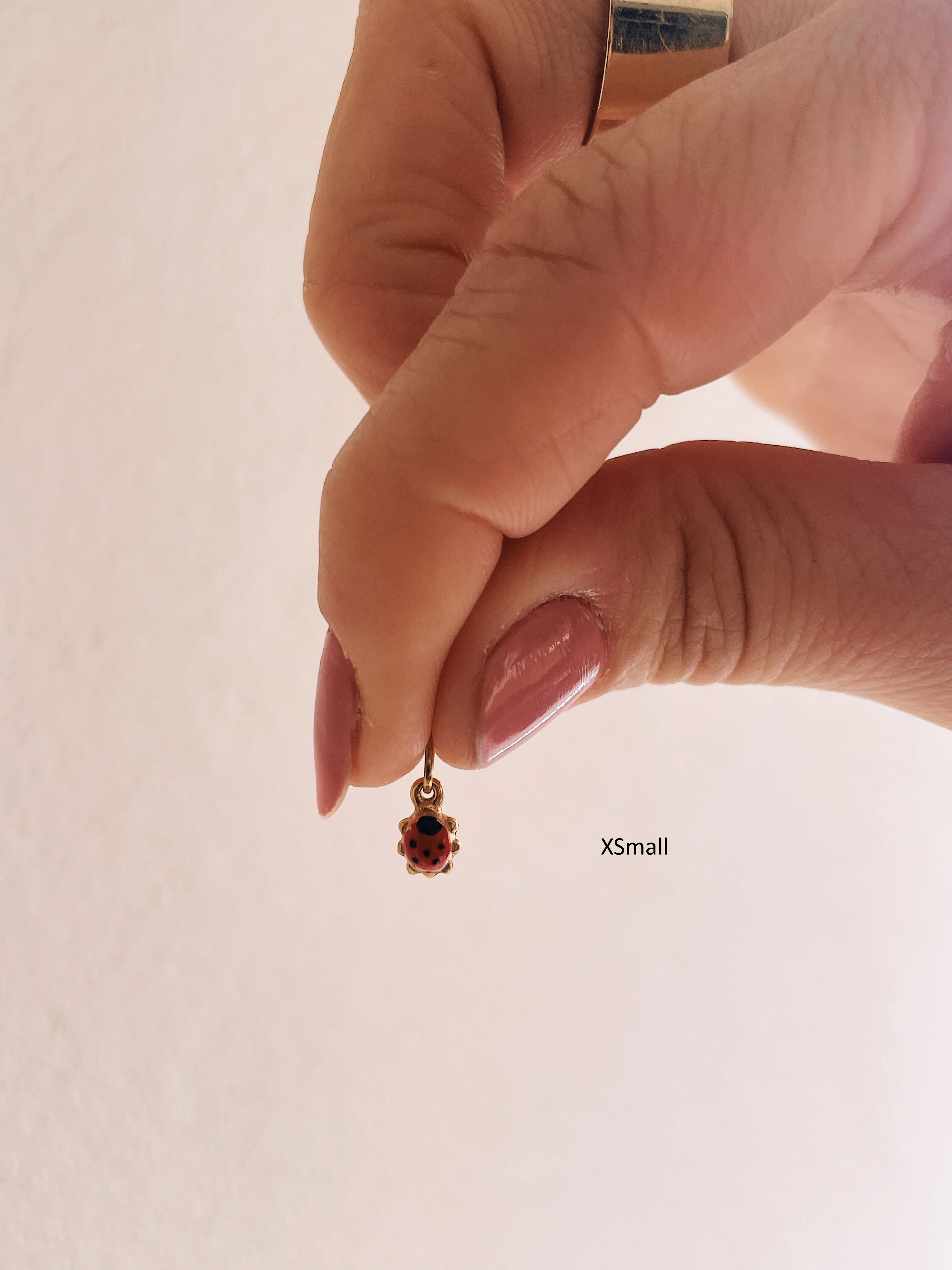 10k Ladybug Charm - Image 13