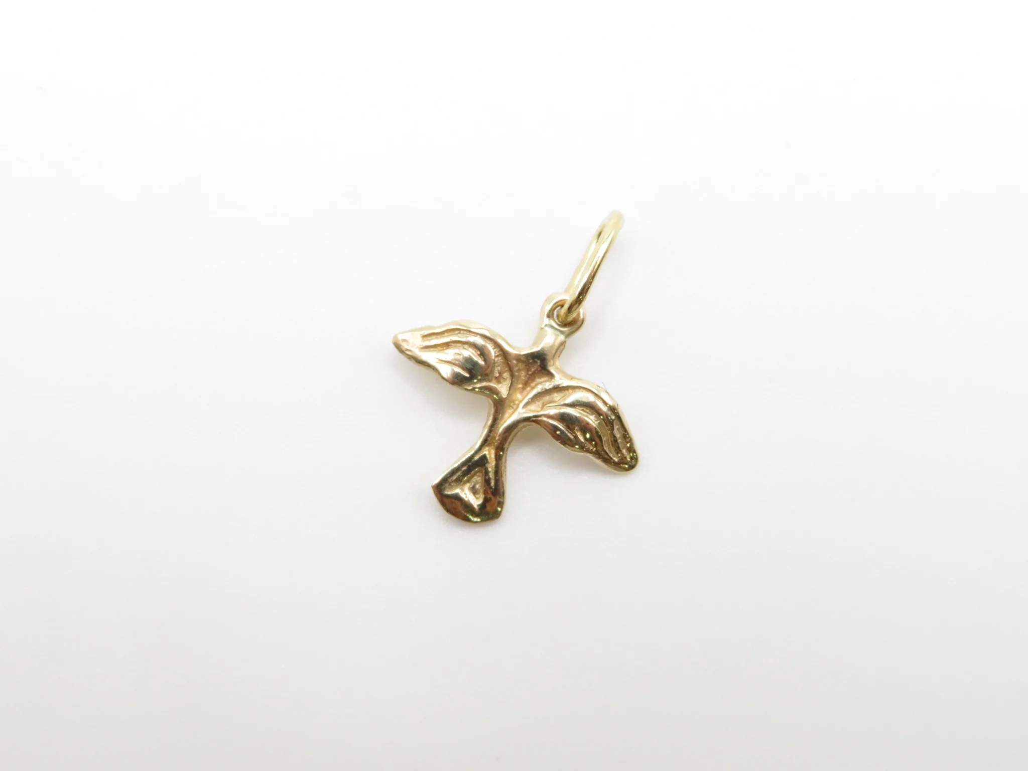 The Paloma Charm - Image 3